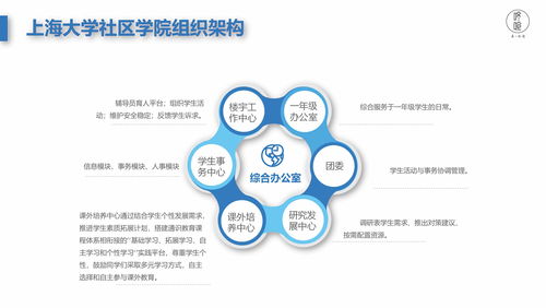 咚呛考而优上海市社区学院初步研究分析报告